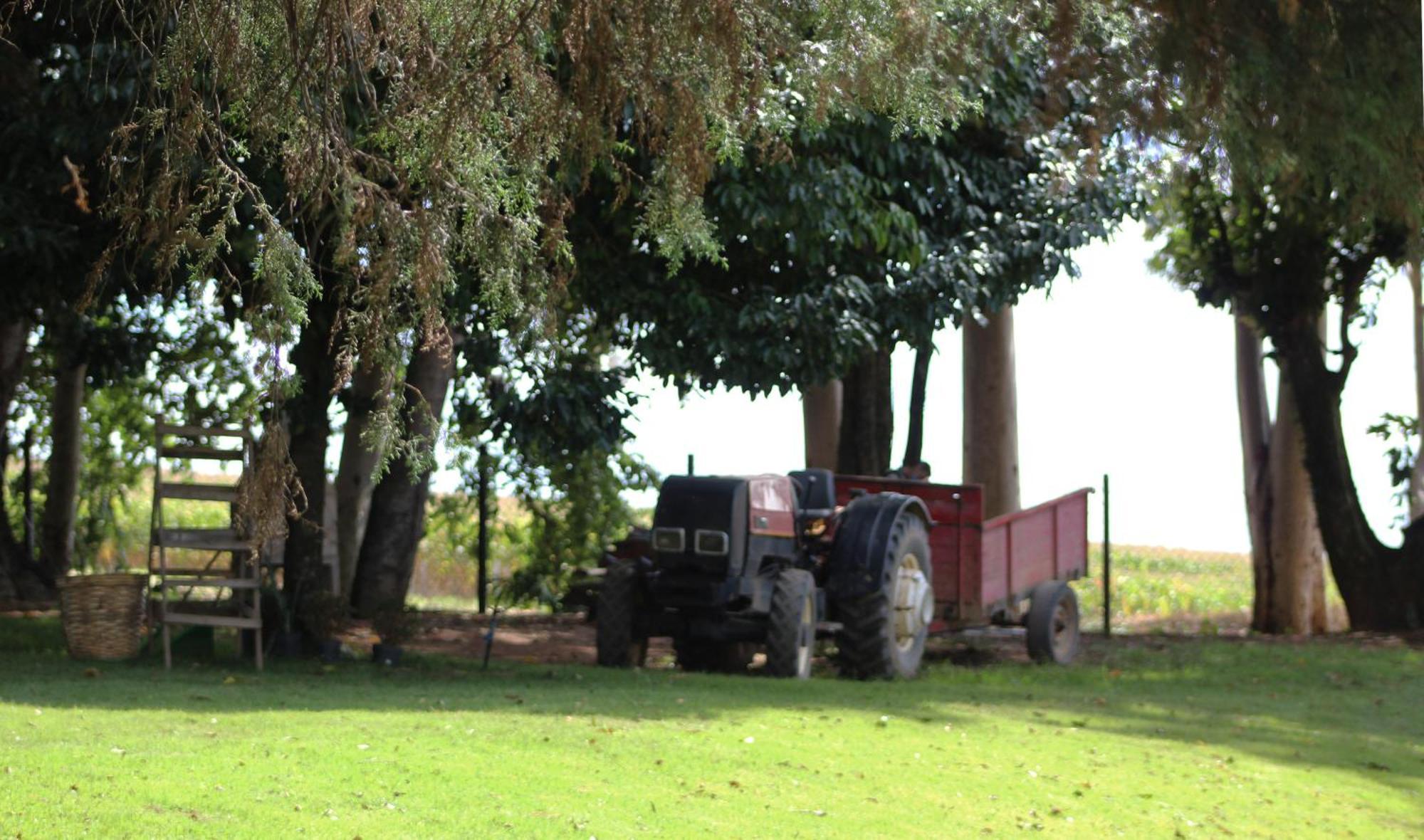 Limoeiro Da Concordia Hotel Fazenda De Charme Cabreúva Kültér fotó
