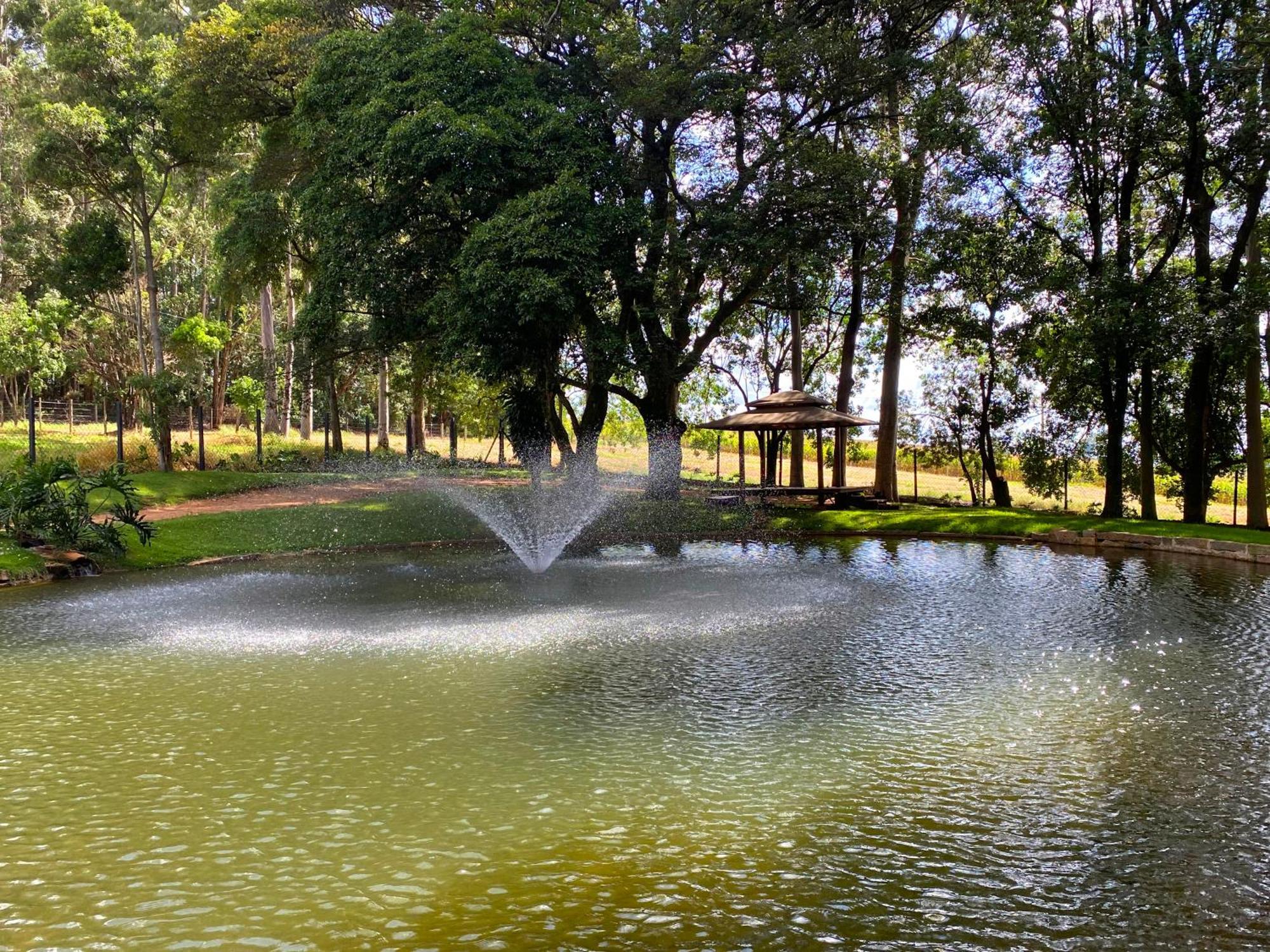 Limoeiro Da Concordia Hotel Fazenda De Charme Cabreúva Kültér fotó